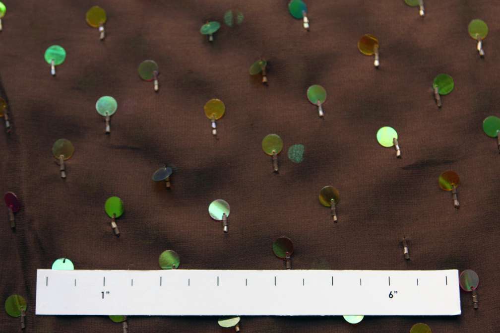 Paillettes on Silk Chiffon1