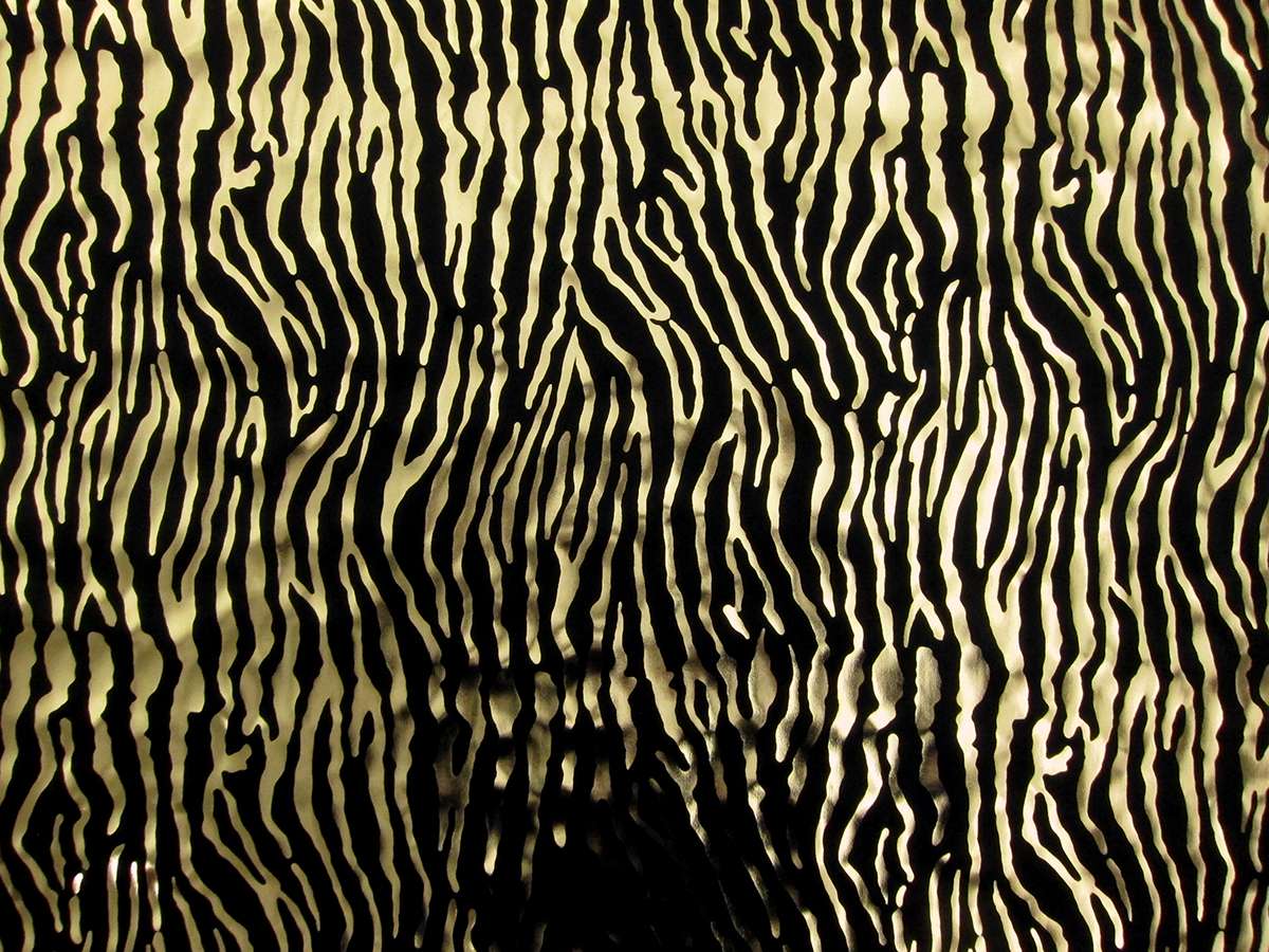 Metallic Printed Silk Charmeuse0