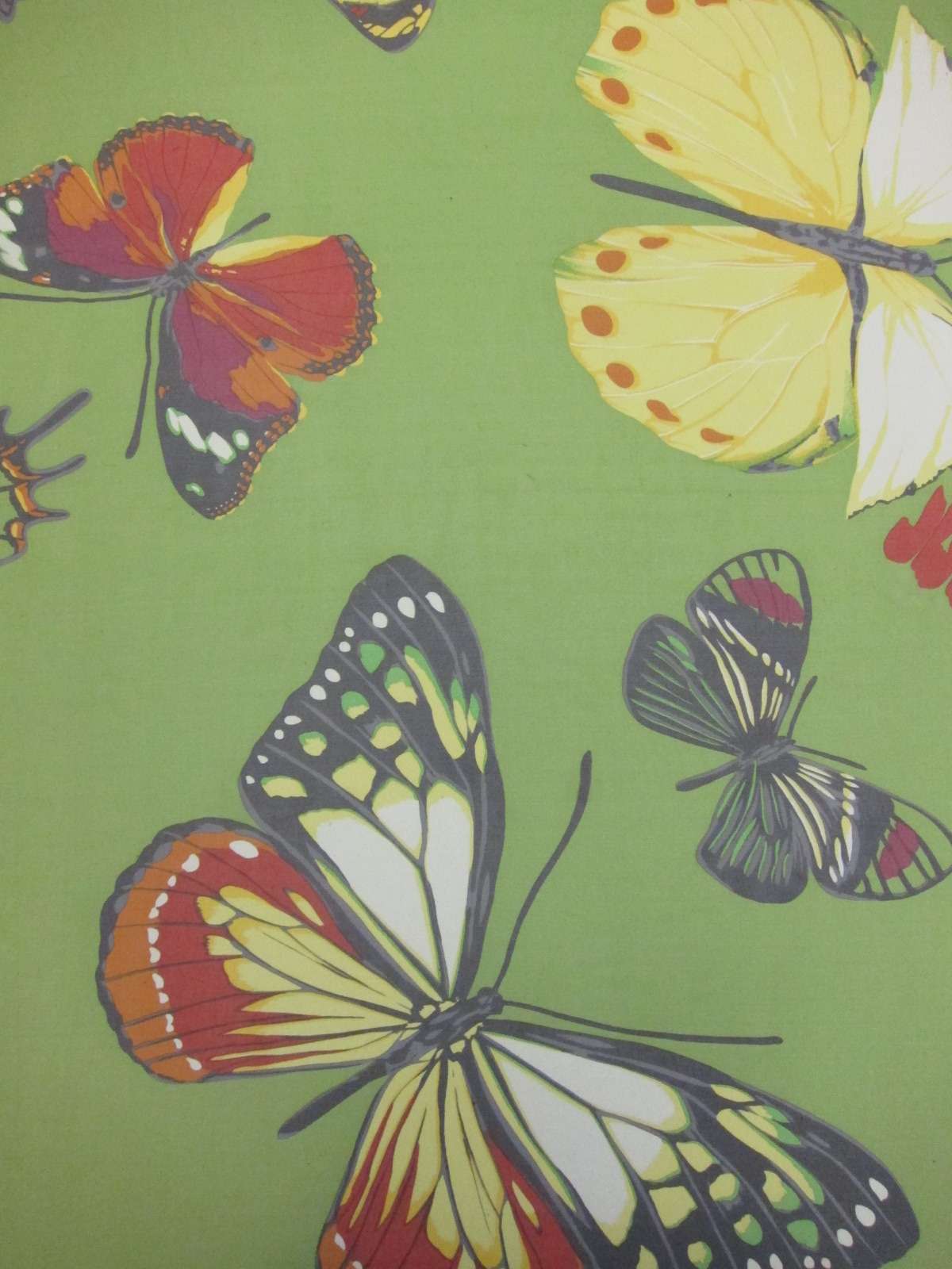 Printed Silk Chiffon Multicolor Butterfly Print On Light-Green Background