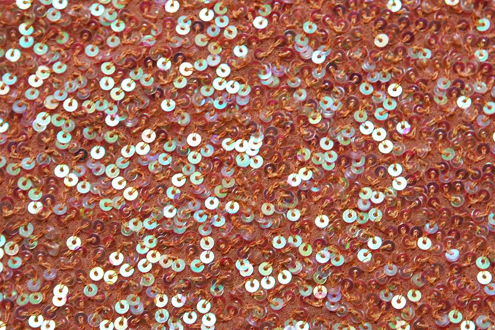 Sequins on Silk Chiffon2