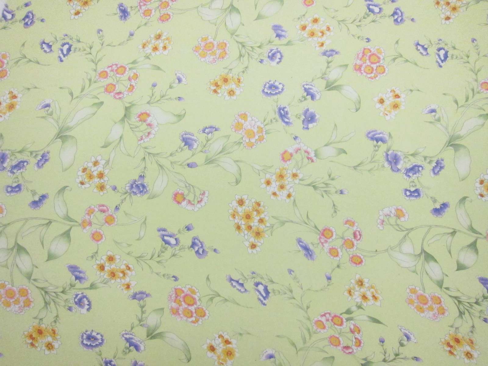 Printed Silk Chiffon1