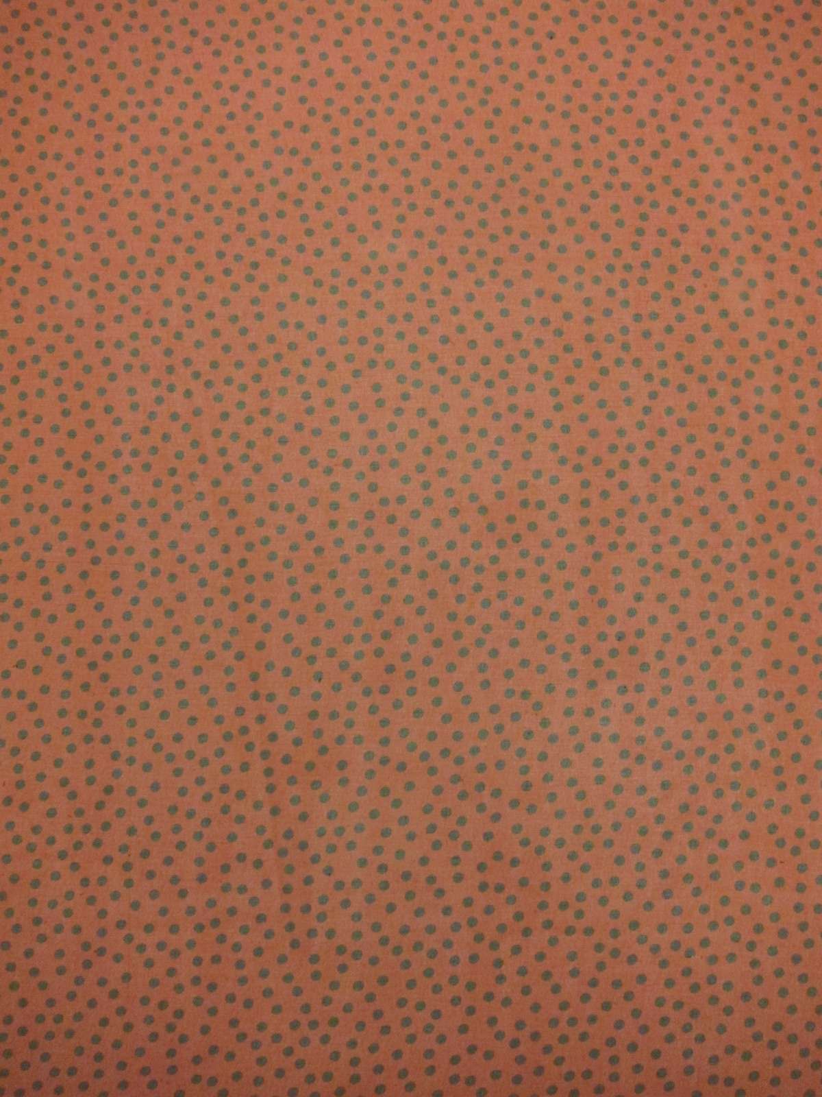 Printed Silk Chiffon