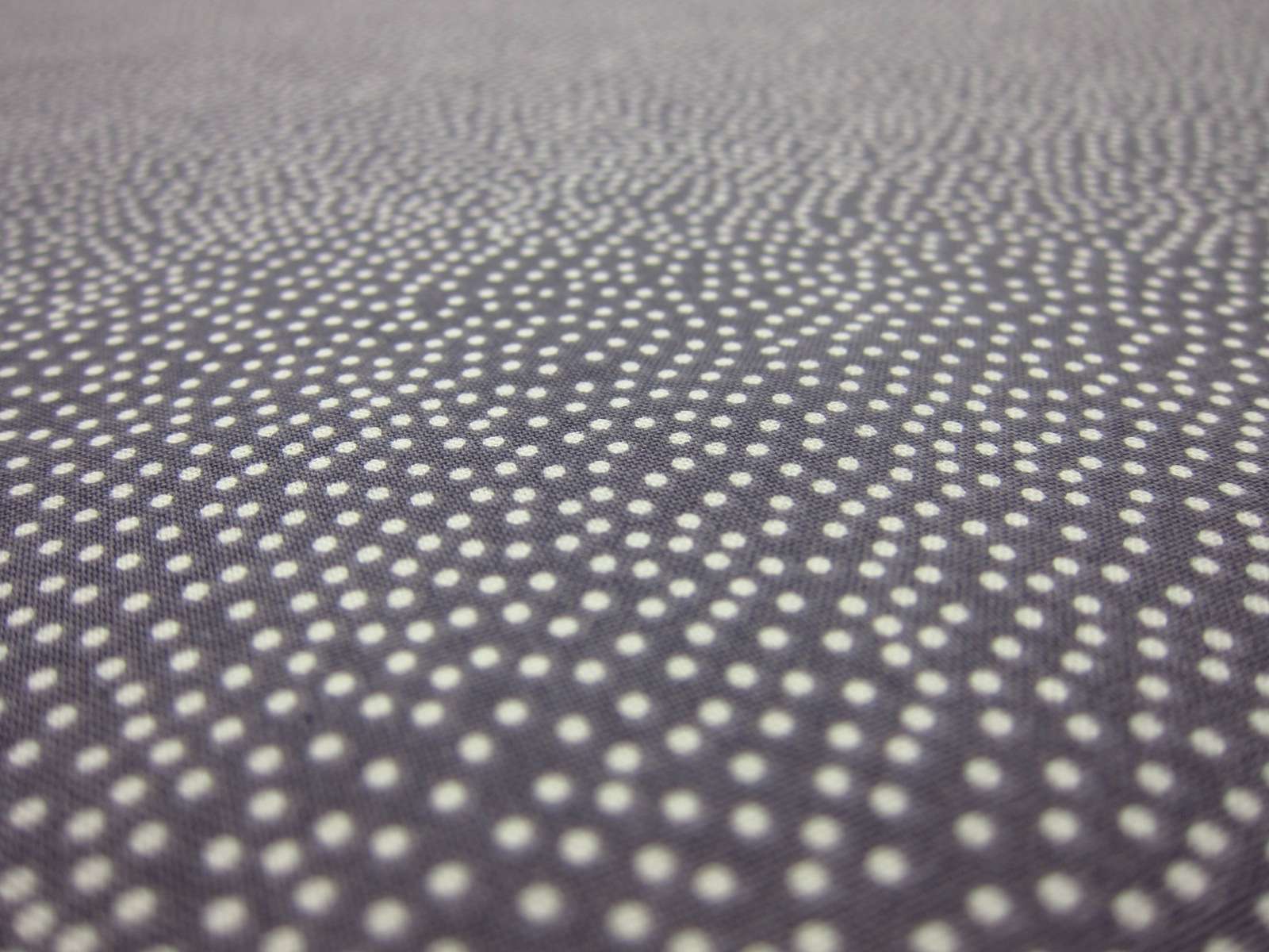 Cotton Broadcloth Print2