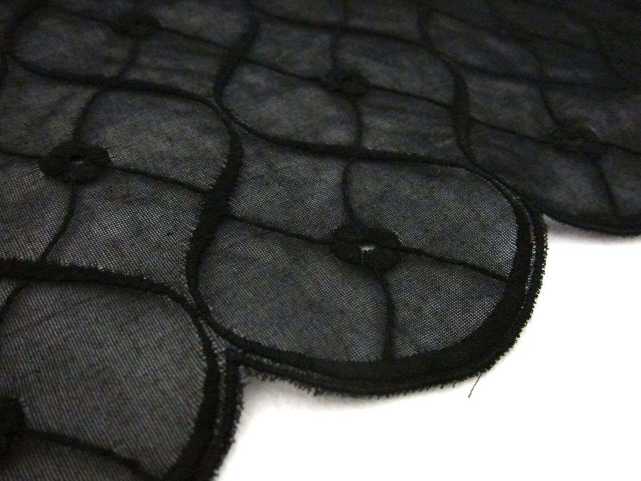 Embroidered Cotton Voile Eyelet in Black2