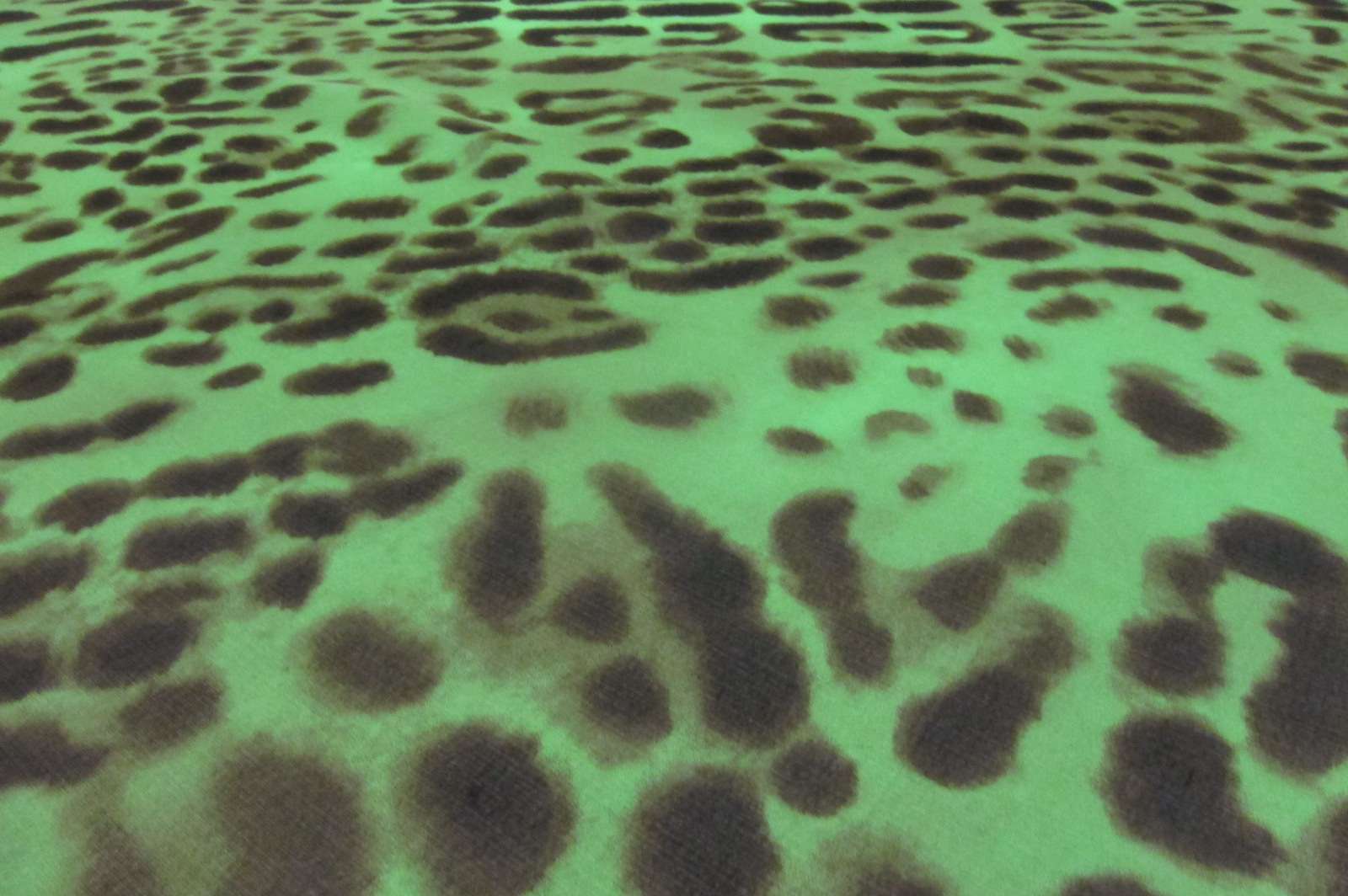 Printed Silk Chiffon2