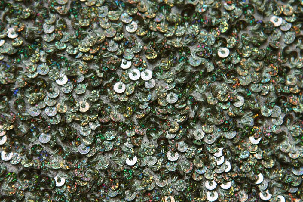 Sequins on Silk Chiffon2