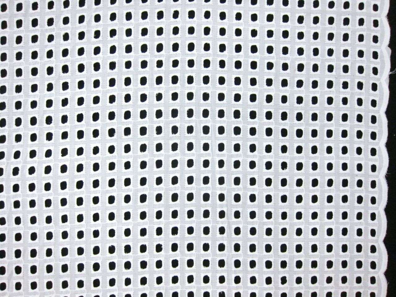 Cotton Eyelet in White0