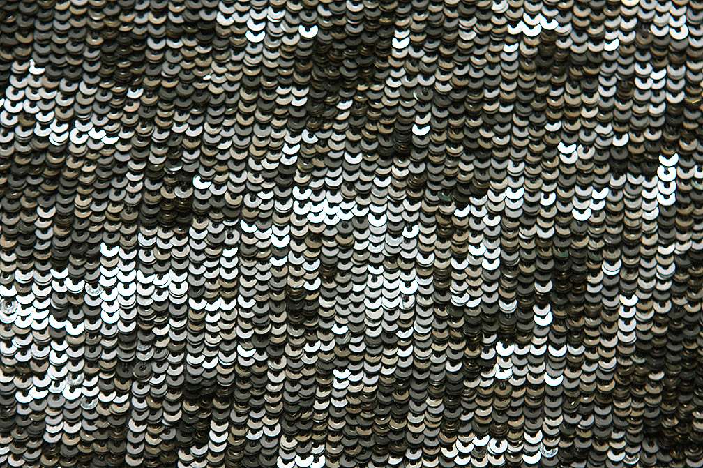 Sequins on Silk Chiffon2