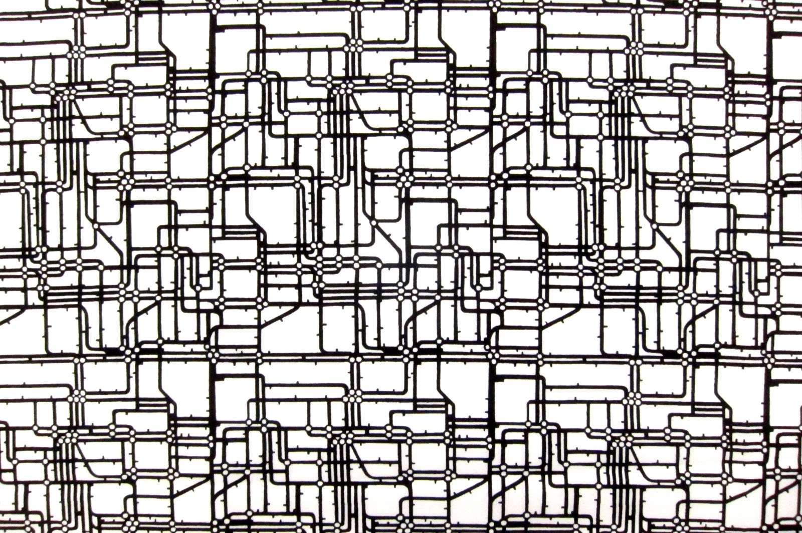Cotton Broadcloth Print0