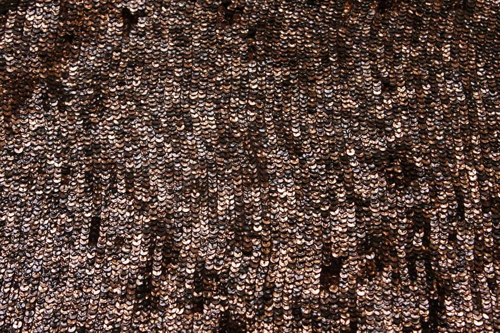 Sequins on Silk Chiffon0
