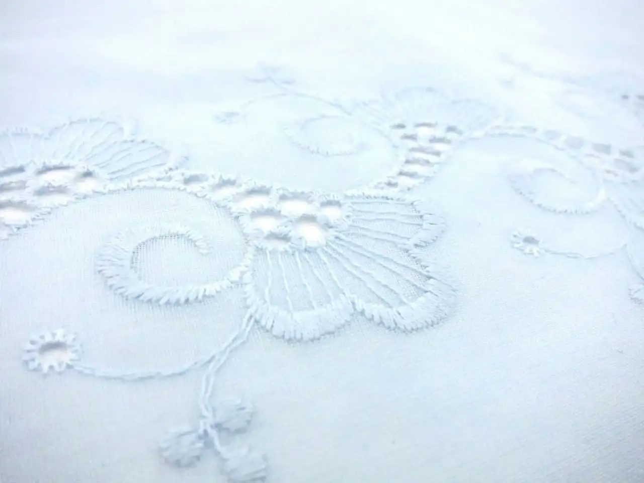 Embroidered Cotton Voile Eyelet in Sky Blue3
