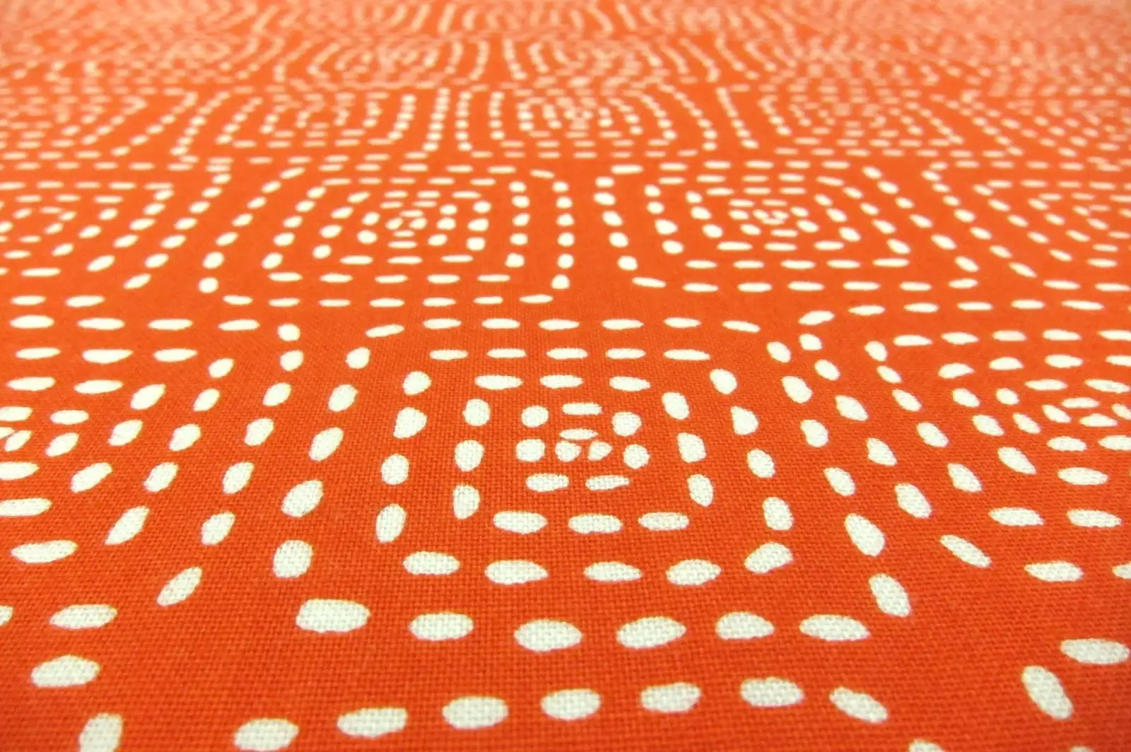 Cotton Broadcloth Print2