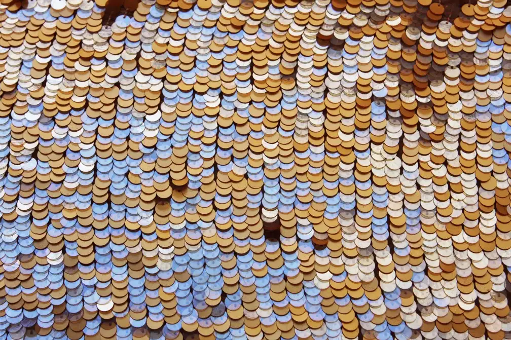 Pailettes on Silk Chiffon1