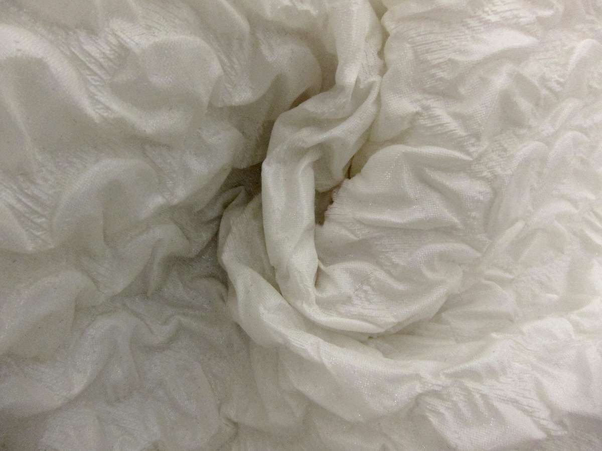 Silk Blend Organza Cloqué1