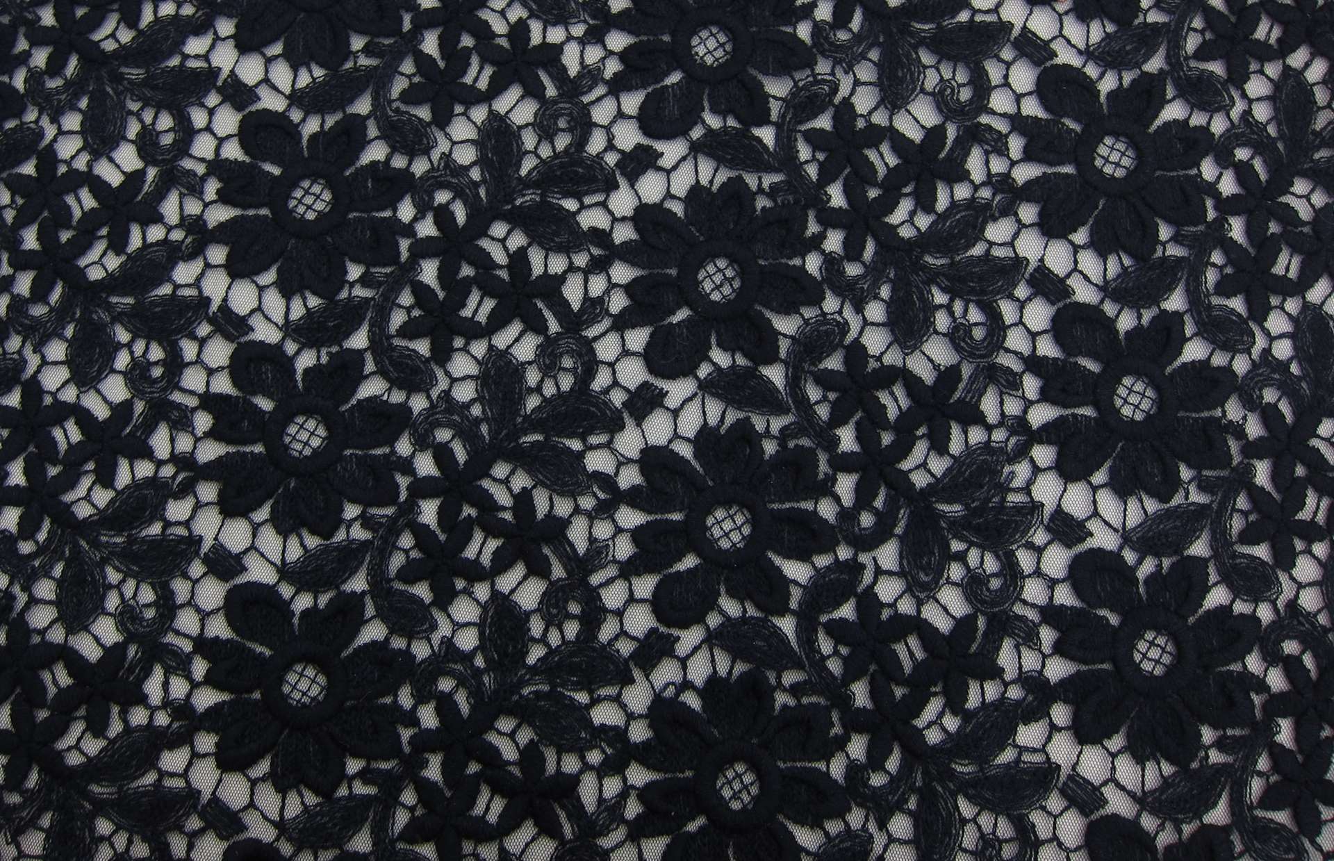 Wool Embroidered Illusion0