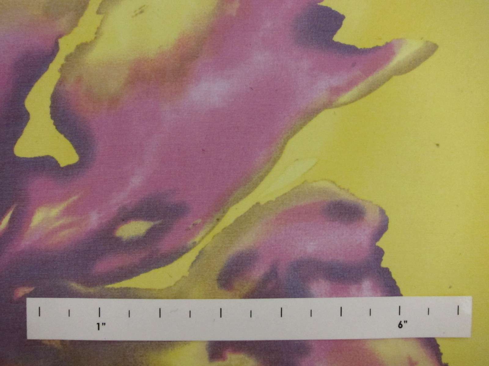 Printed Silk Chiffon