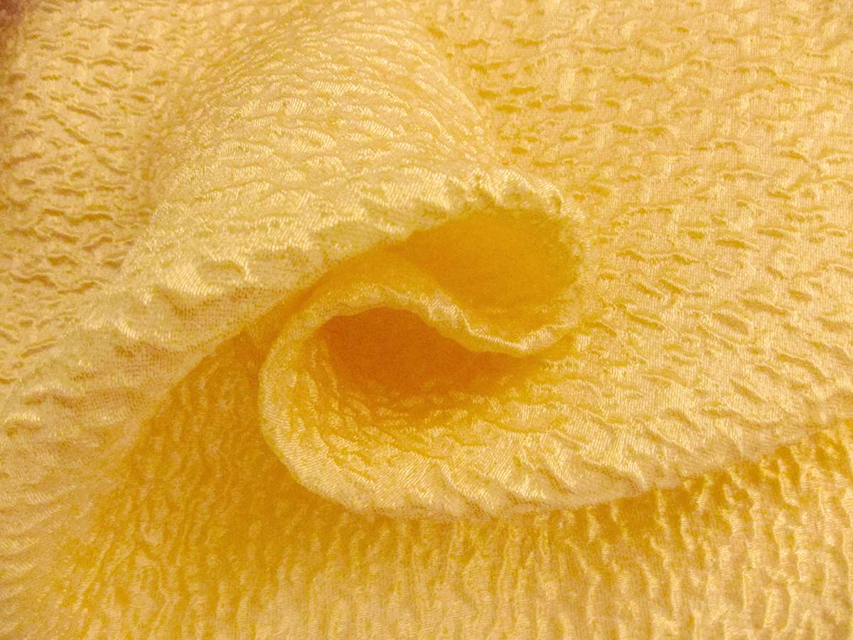 Silk Blend Organza Cloqué1