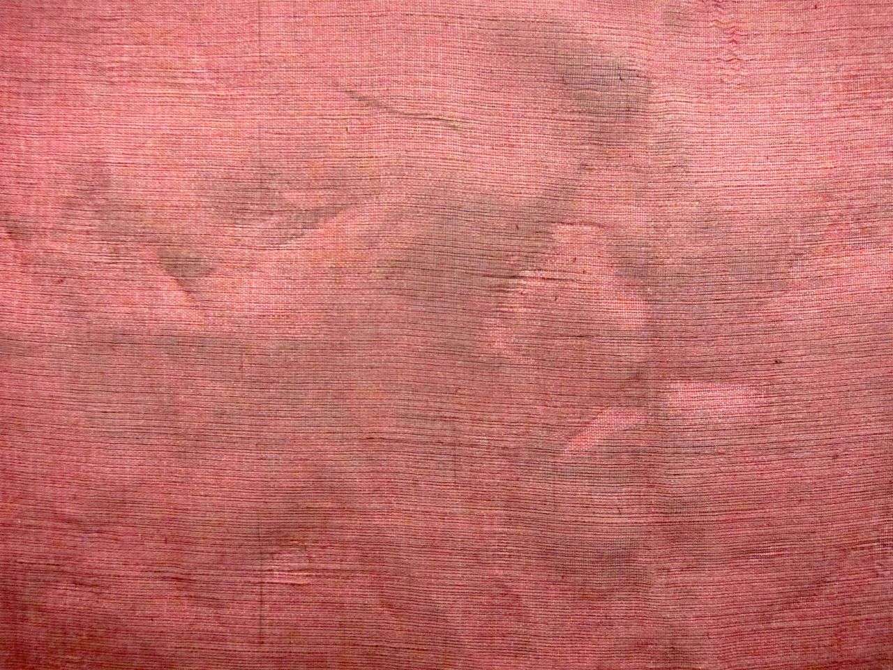 Metallic Silk Organza (B)1