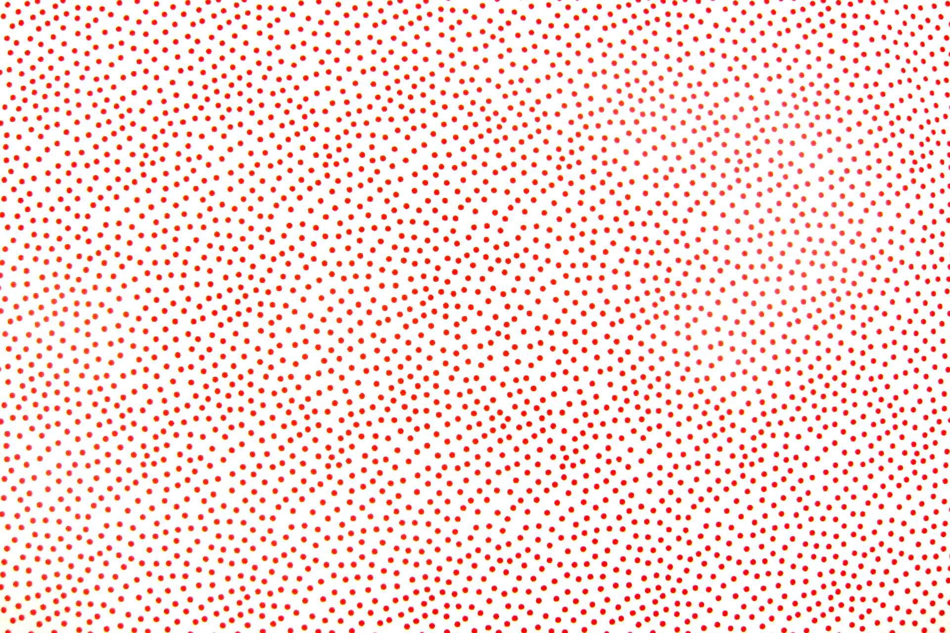 Cotton Broadcloth Print