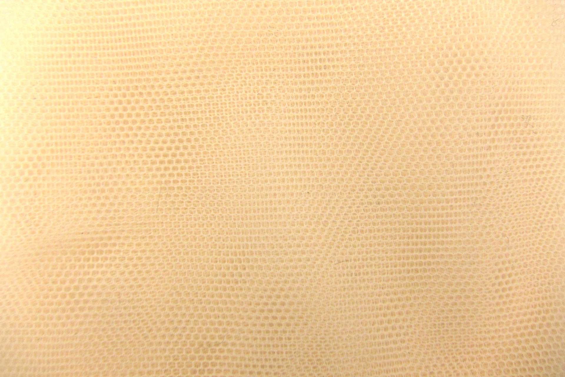 Italian Nylon Tulle in Beige0