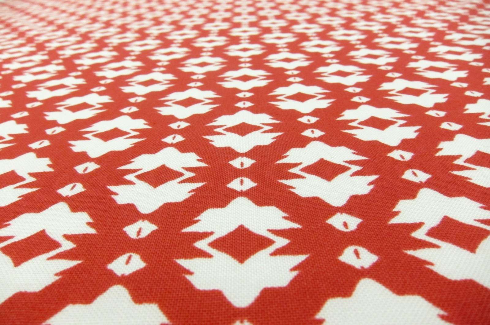 Cotton Broadcloth Print2