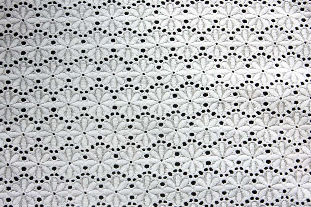 Cotton Eyelet0