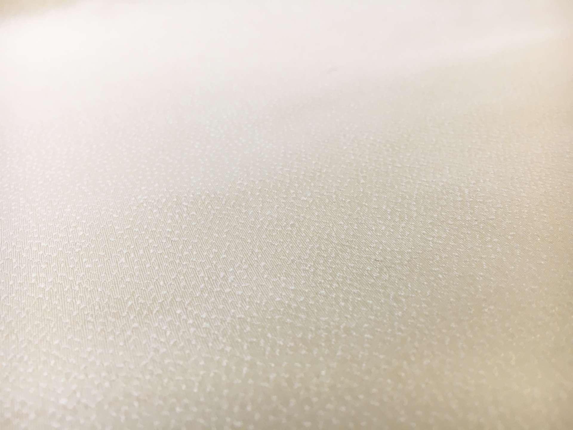 Bridal Silk Textured Damask1