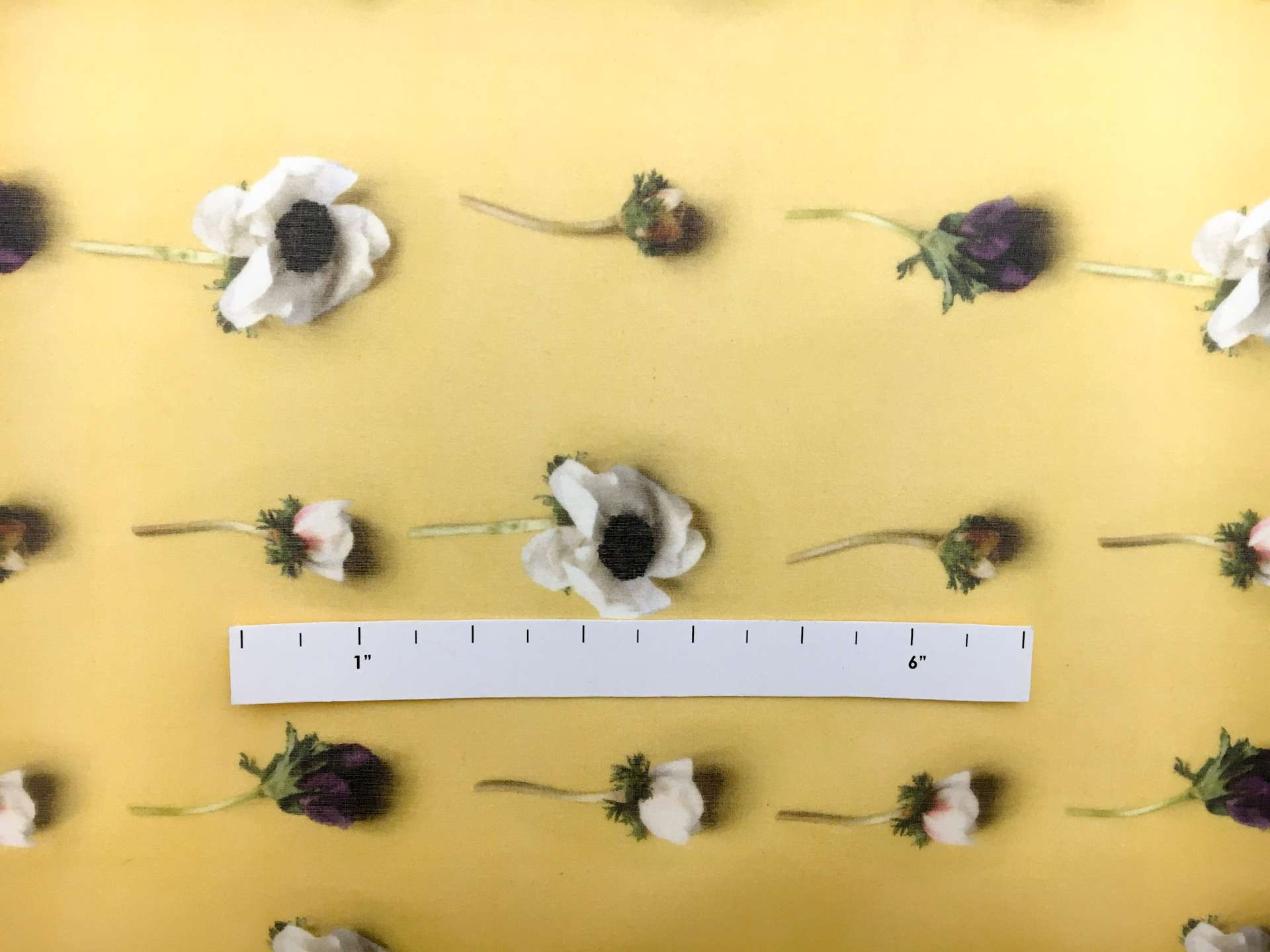 Printed Silk Organza with Rows of Anemone Flowers1