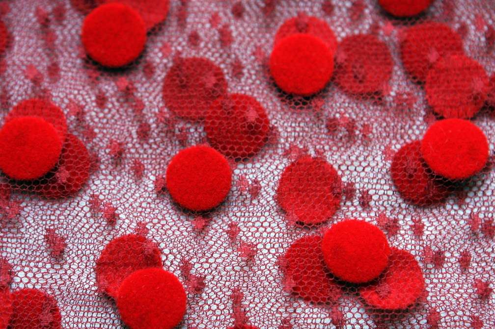 Flocking on Tulle2