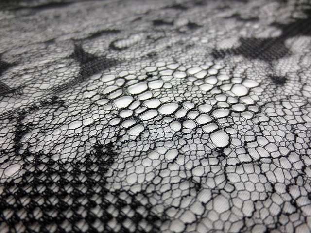 Chantilly Lace2