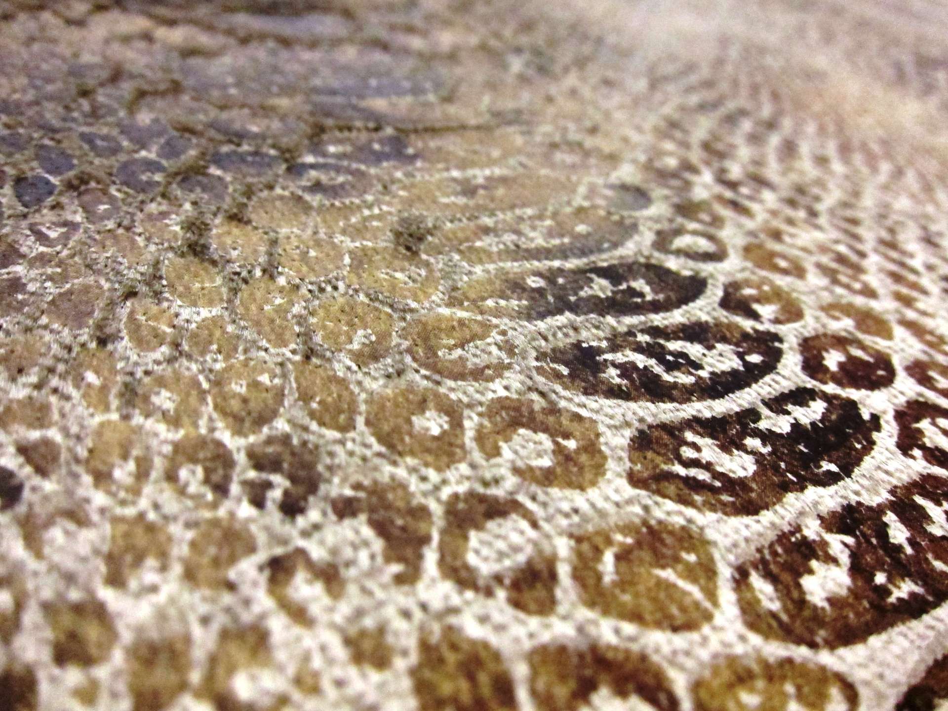 Rayon and Polyester Printed Velvet2