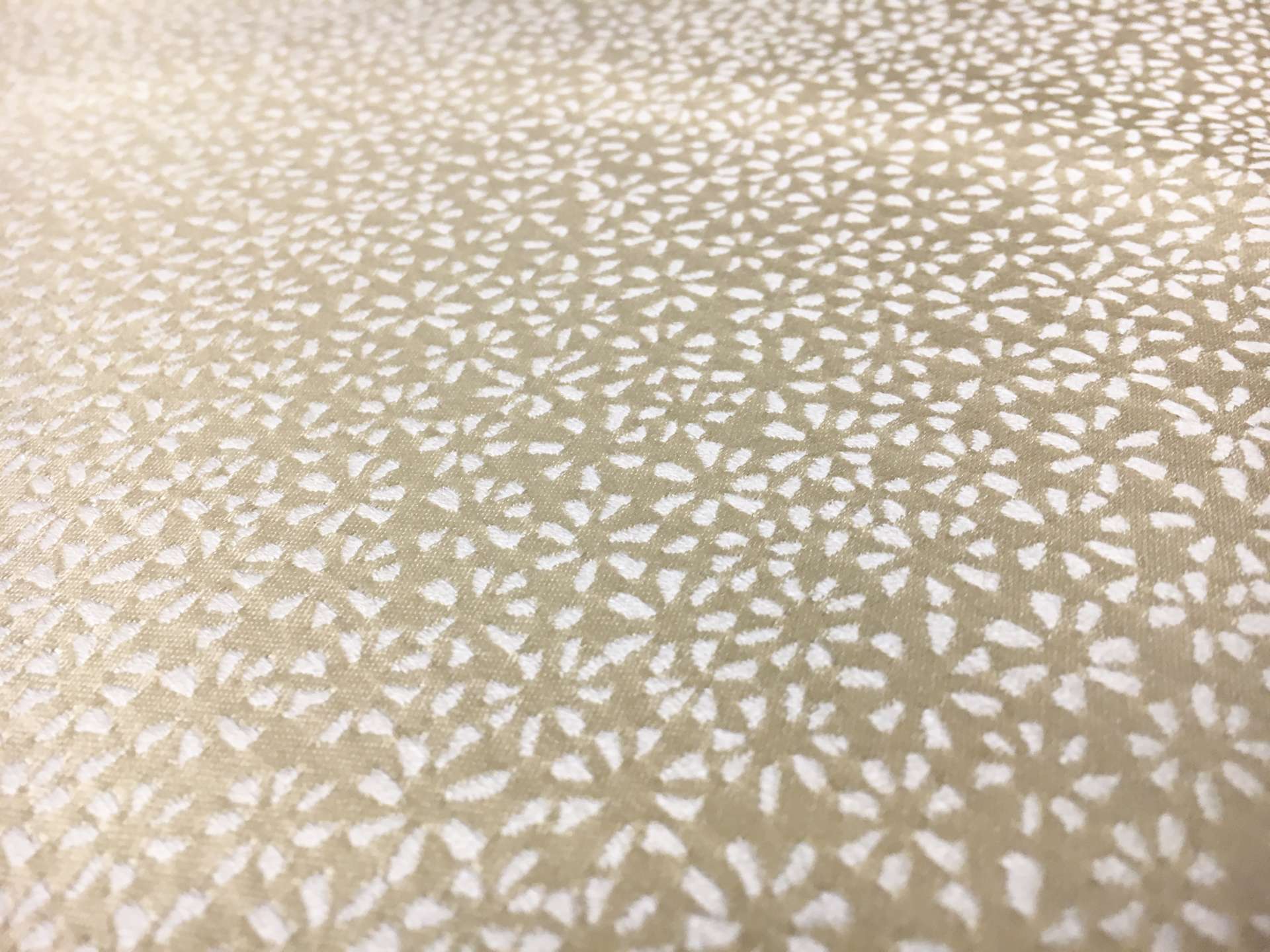 Champagne Silk Brocade 1