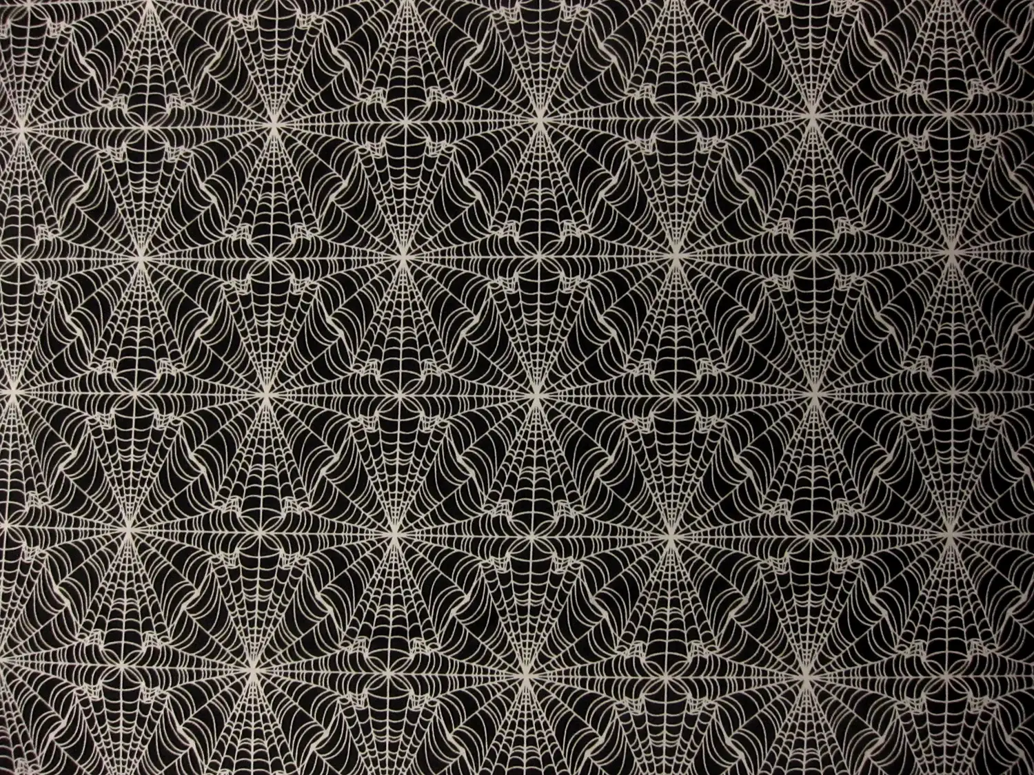 Cotton Broadcloth Print 0