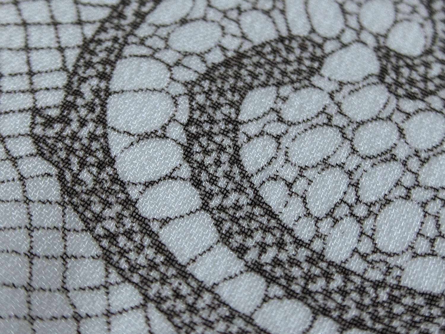 Printed Silk Chiffon with Floral Lace Patterns2