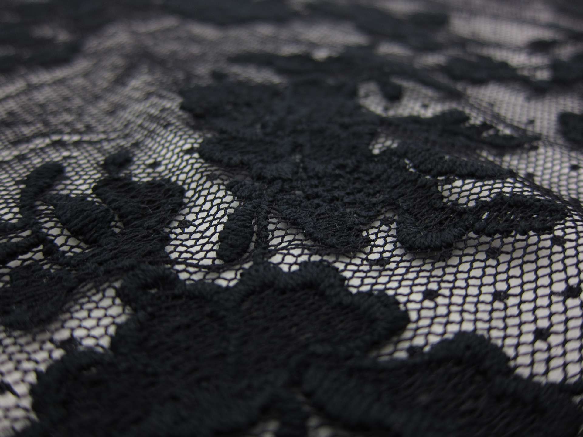 Embroidered Cotton Point D'Esprit2