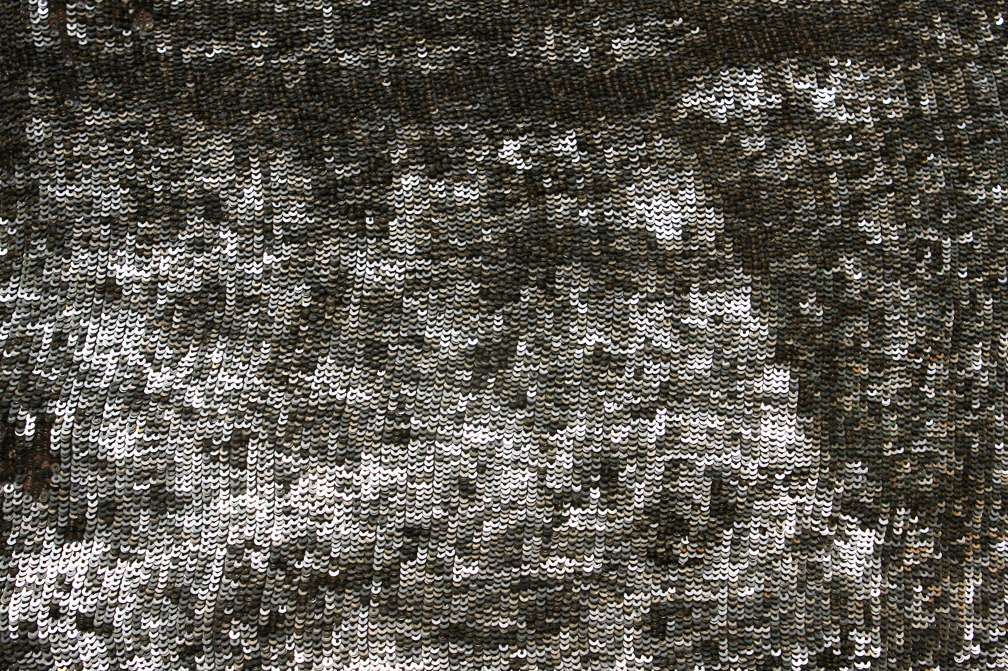 Sequins on Silk Chiffon0