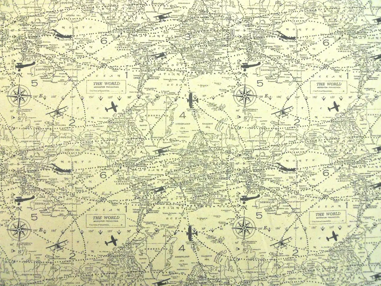 Cotton Canvas World Map Print0