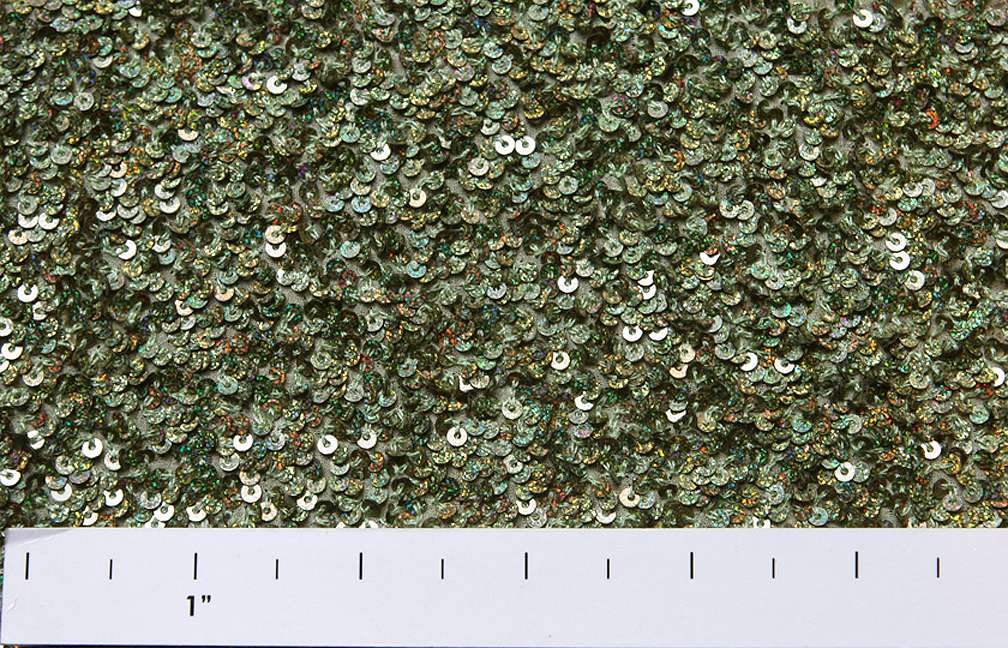 Sequins on Silk Chiffon1