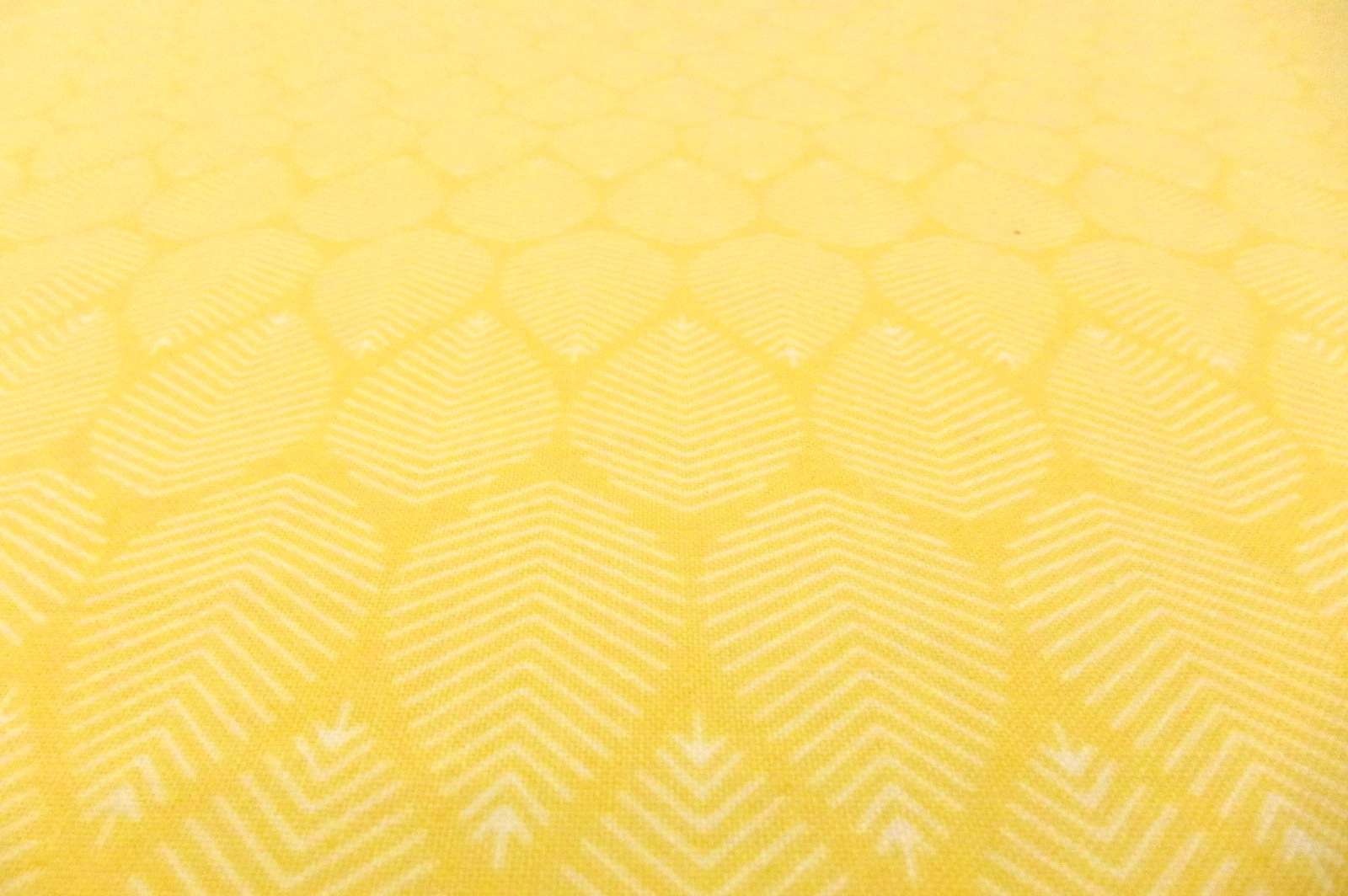 Cotton Broadcloth Print2