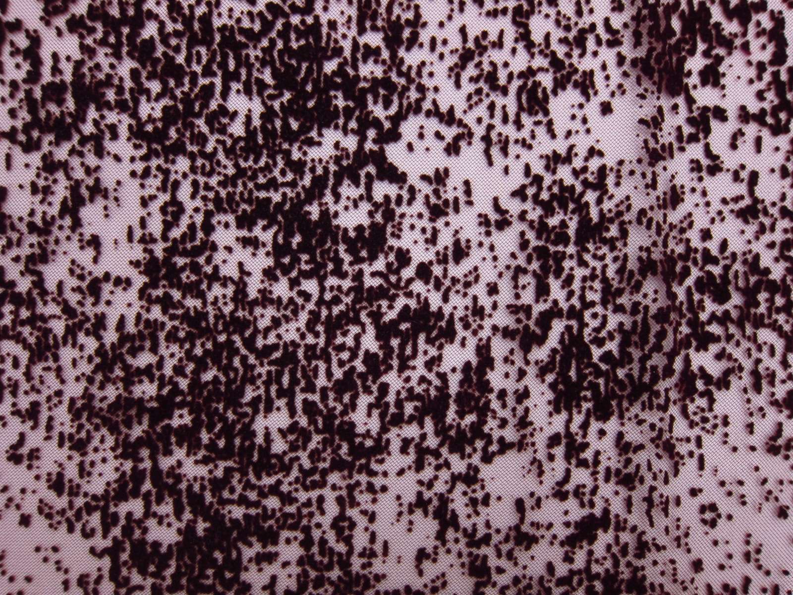 Flocked Tulle (in Burgundy)0