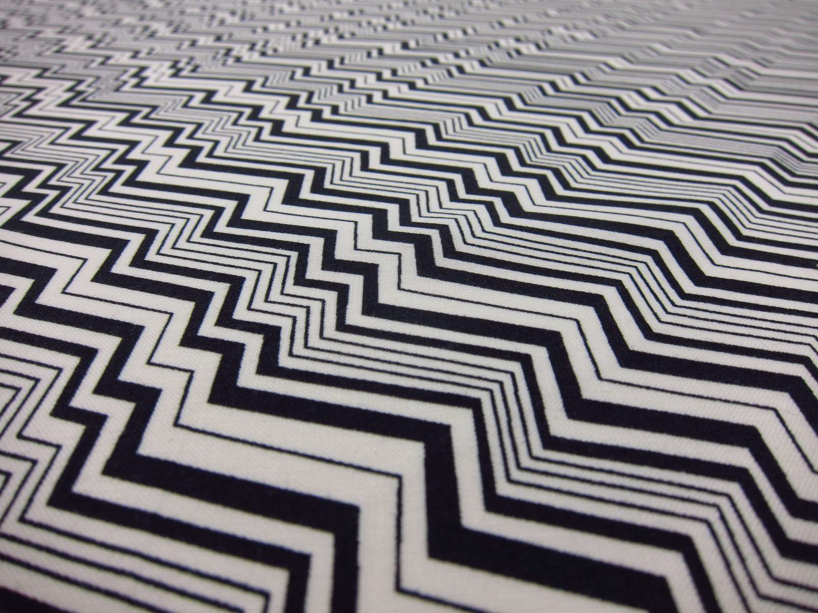 Cotton Broadcloth Print2