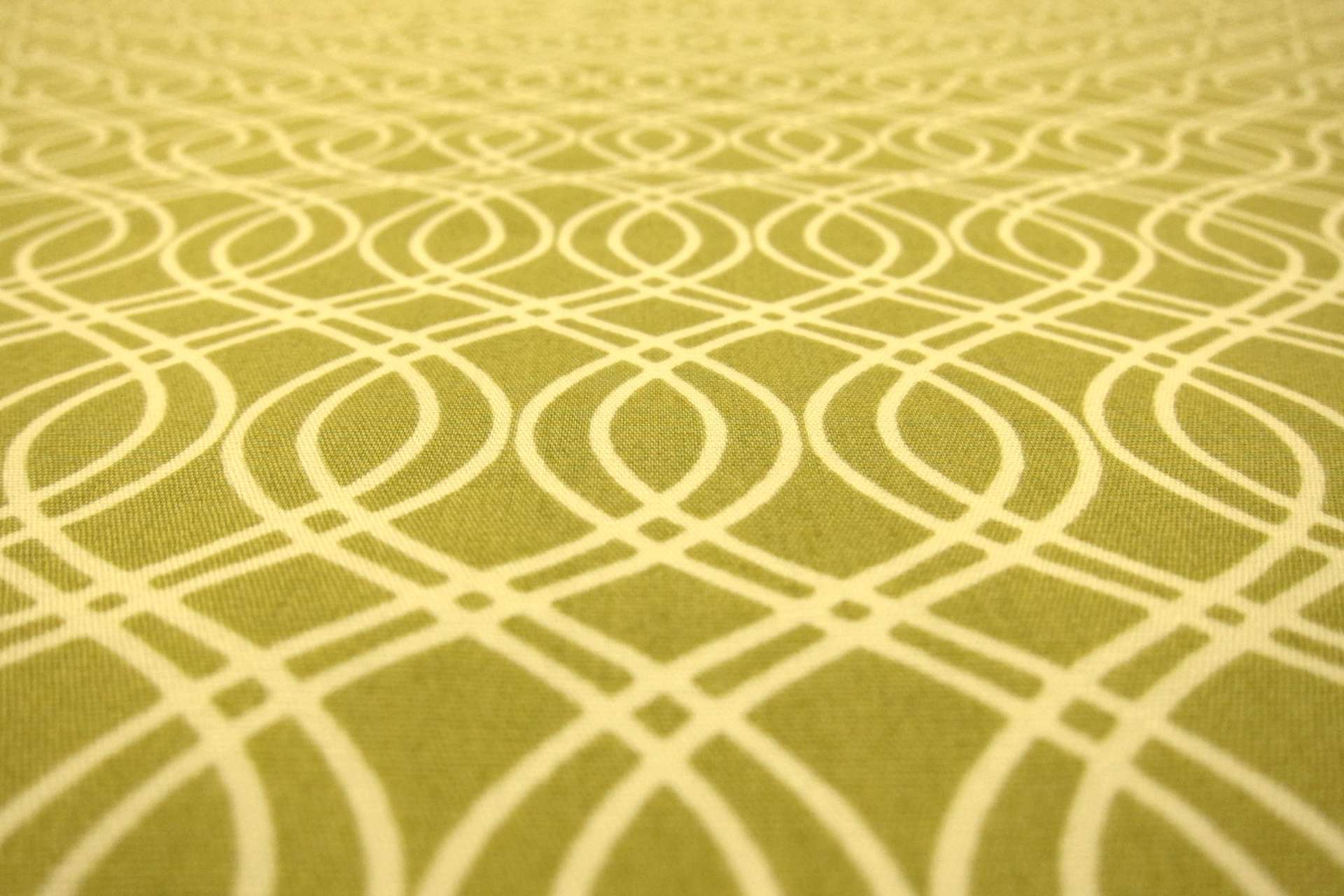 Cotton Broadcloth Print2