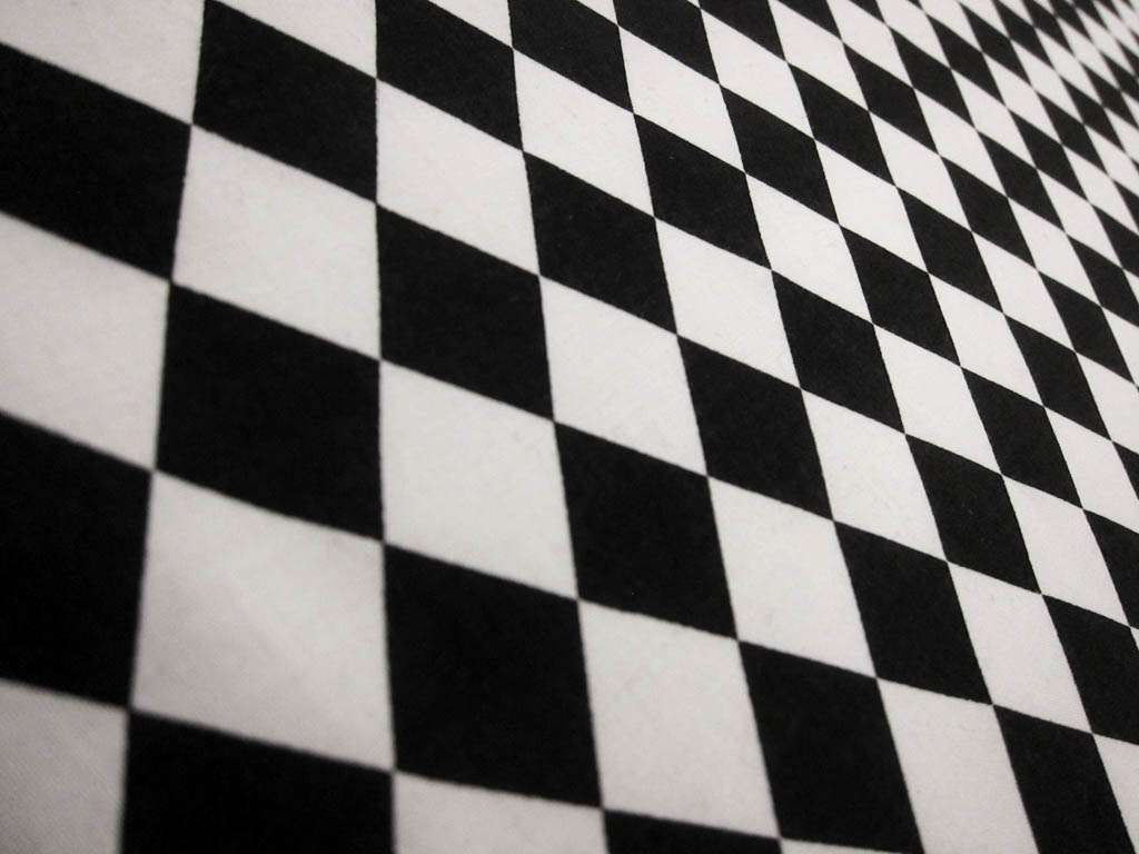 Cotton Broadcloth Print2