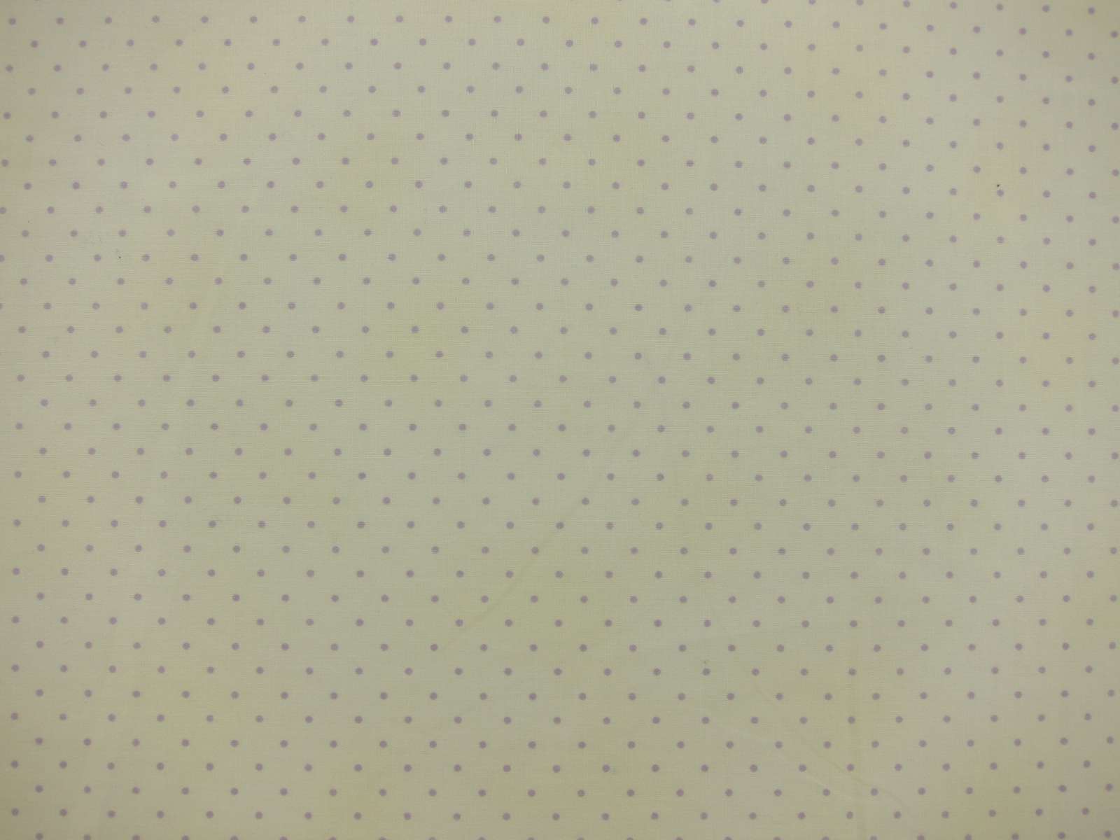 Cotton Broadcloth Print0