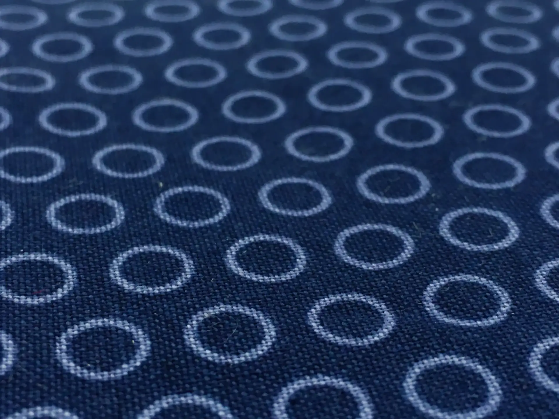 Cotton Broadcloth Print0