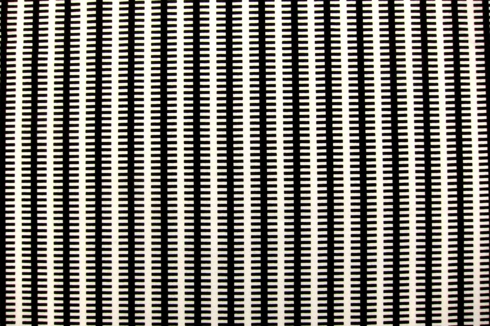 Cotton Broadcloth Print0