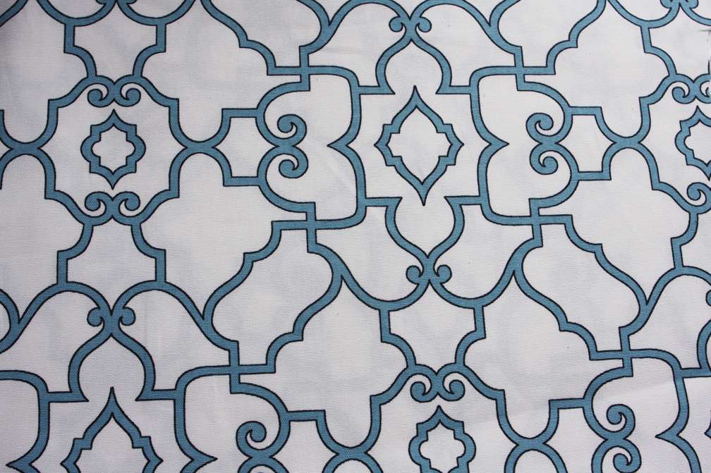 Printed Cotton Canvas0