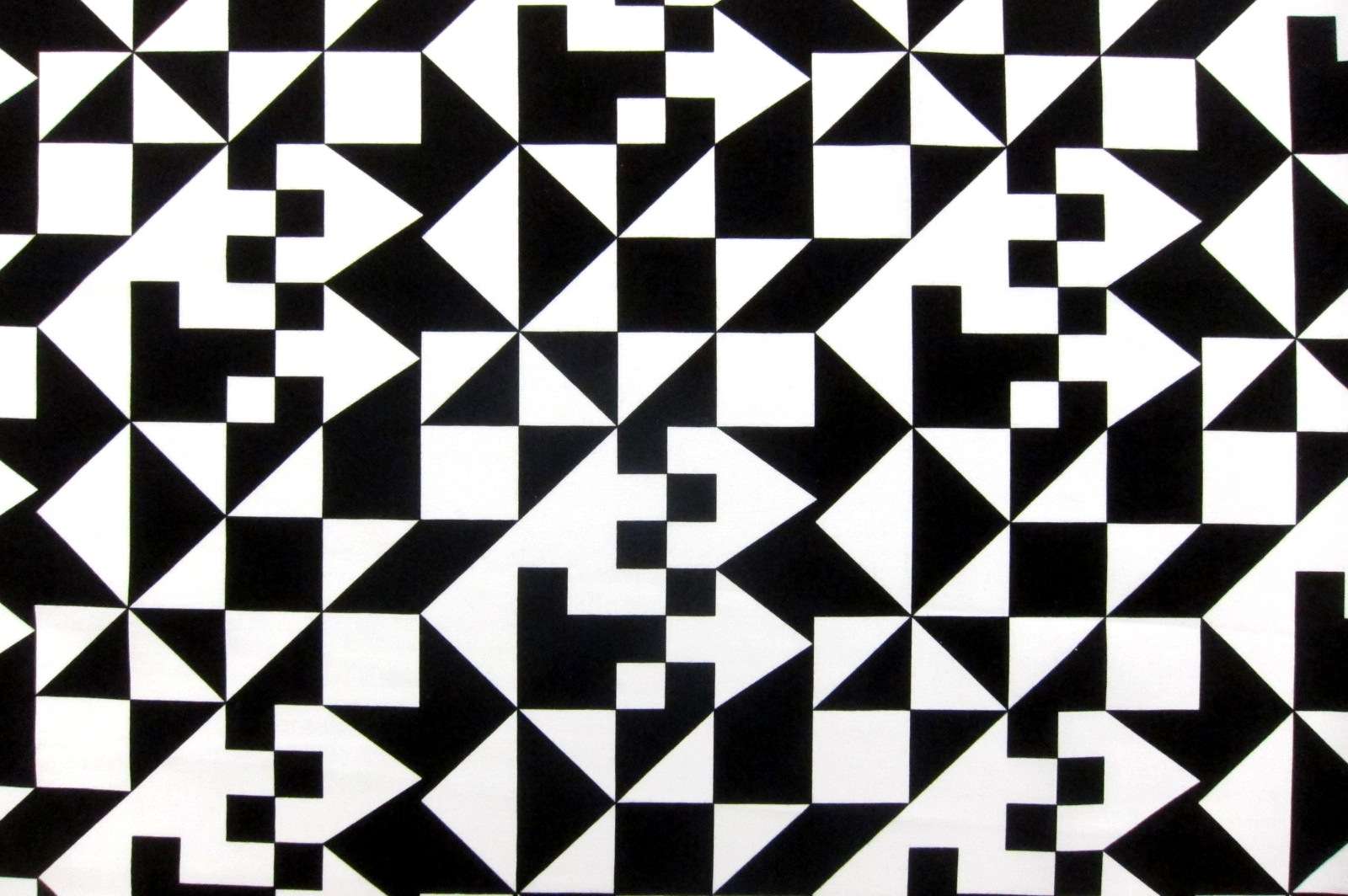 Cotton Broadcloth Print0