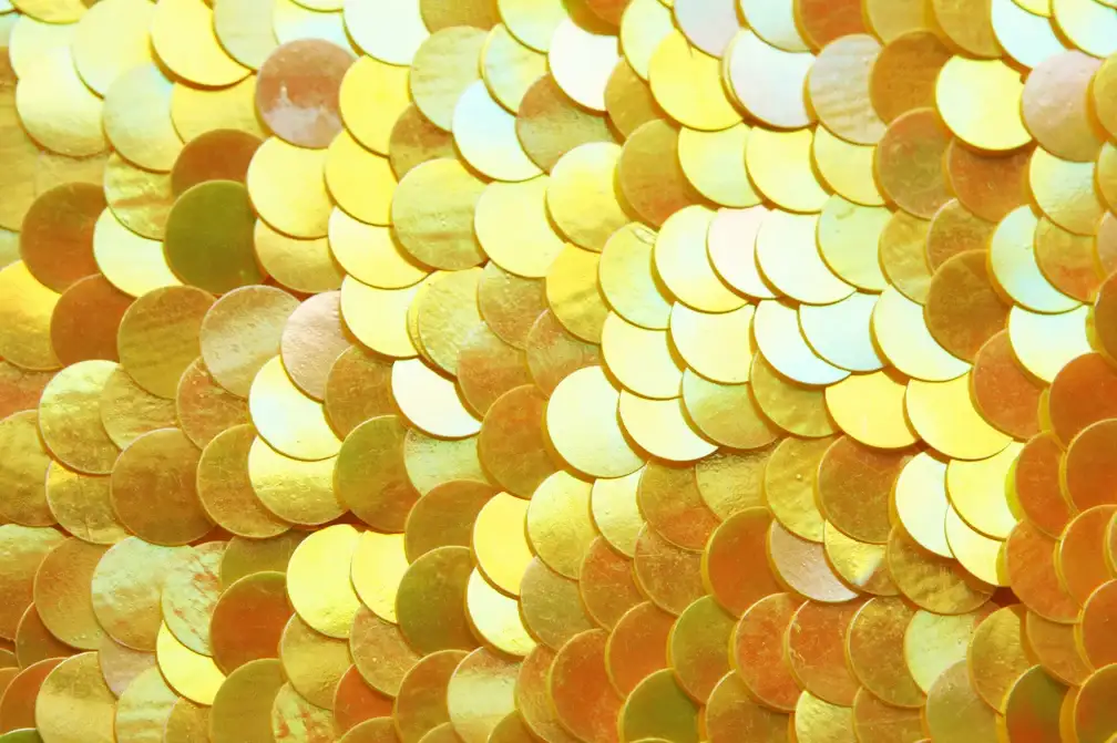 Paillettes on Silk Chiffon3
