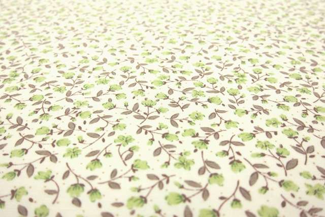 Japanese Cotton Broadcloth Print2